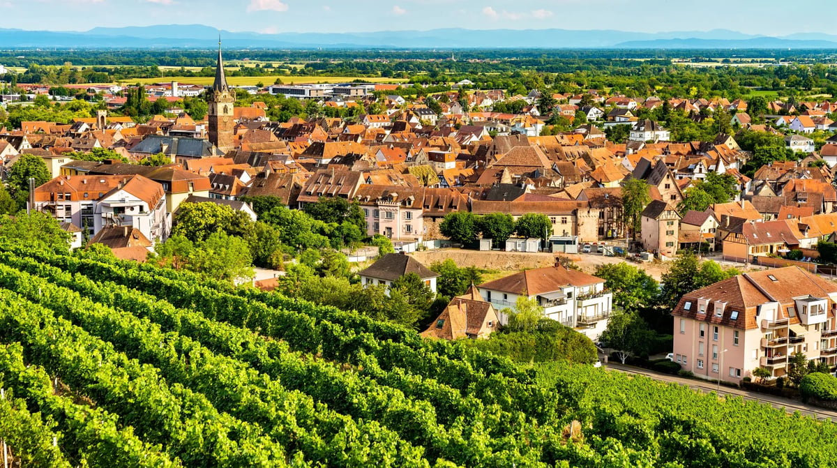 Obernai, shutterstock_1784483783