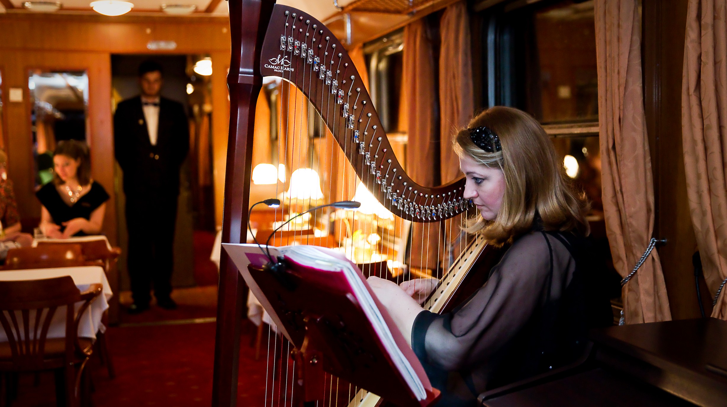 Bar Lounge Car (4)