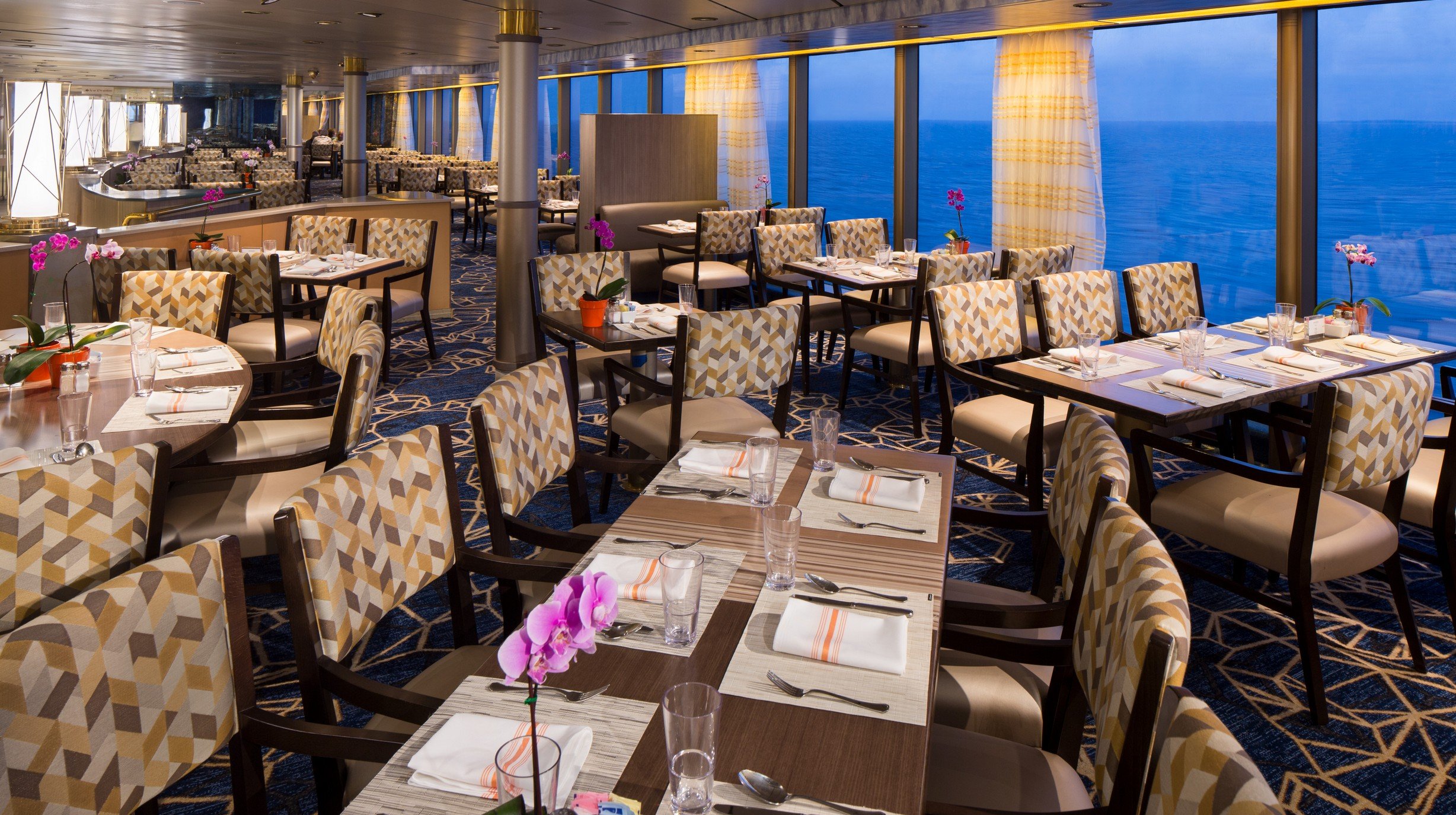 Cruise Zuiderdam