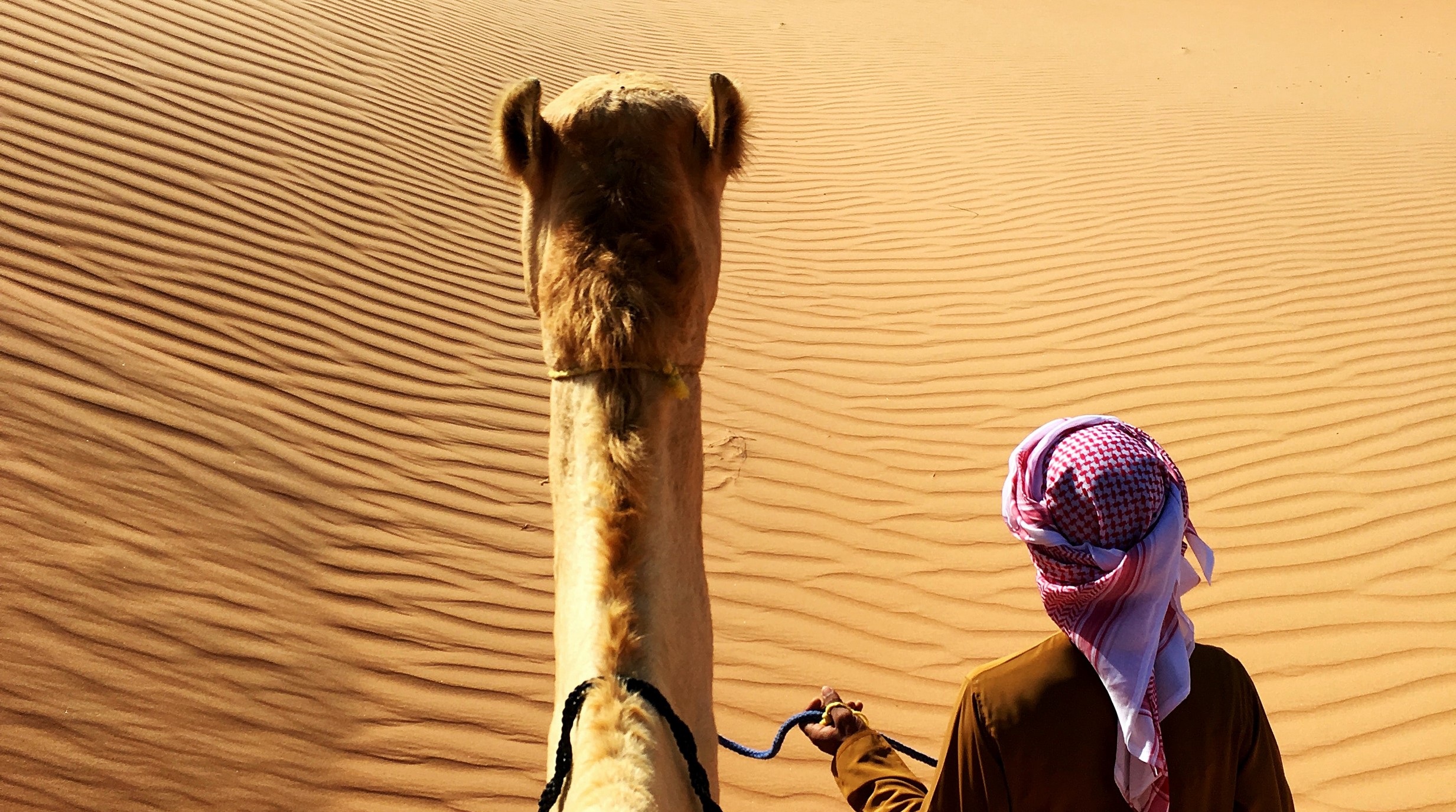 Desert Camel - Bedouin_2023-03-13_10-23-16