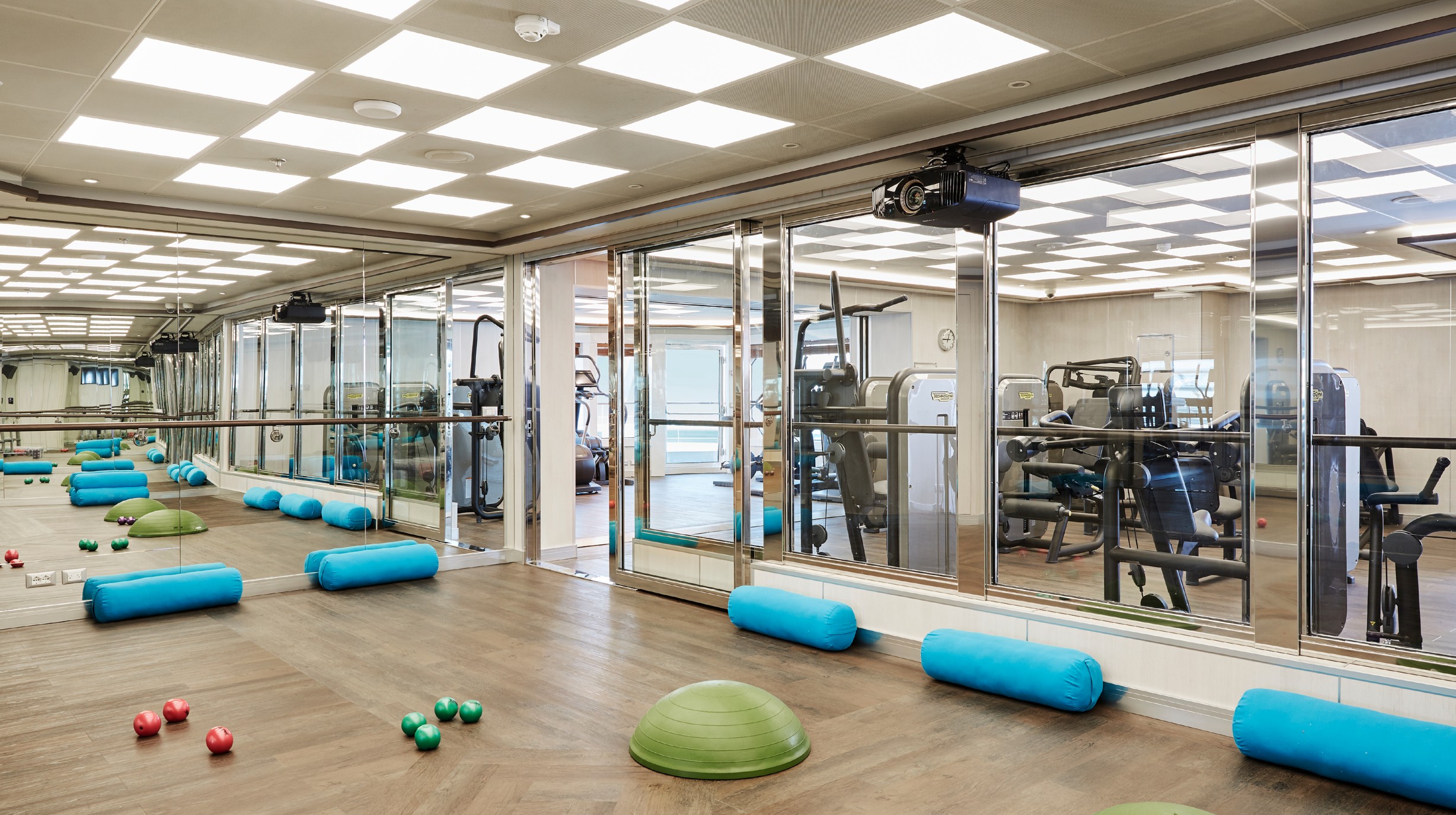 Silver Muse Fitness