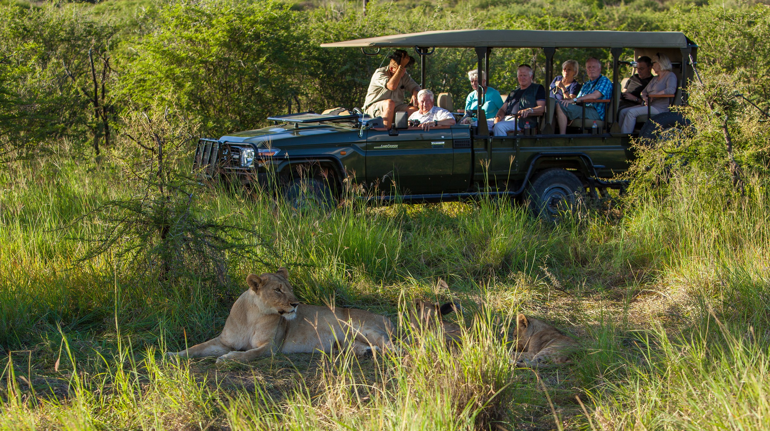 JB 2014-03 Safari on Rails 541