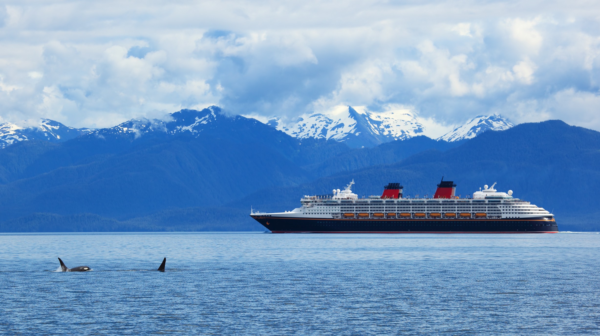 Twee orkawalvissen en cruiseschip, Alaska, de VS
