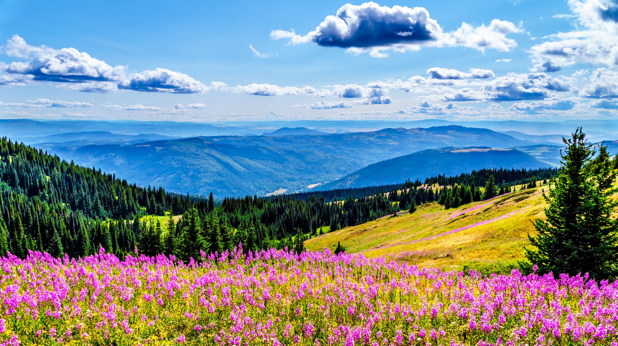 shutterstock_734361697 - Sun Peaks