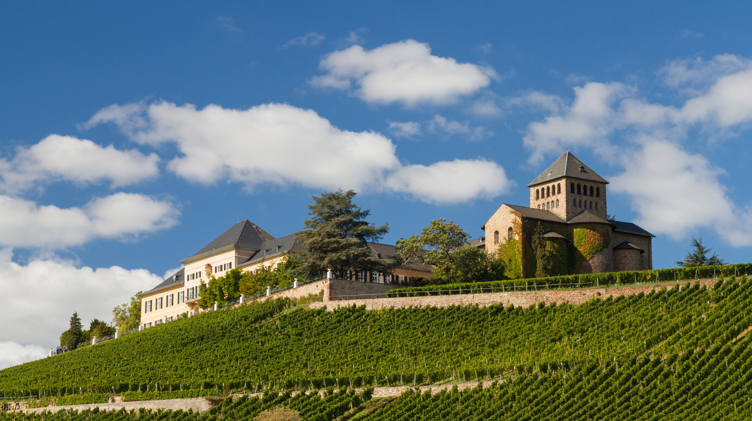 Schloss Johannisberg, Wiesbaden shutterstock_367915118