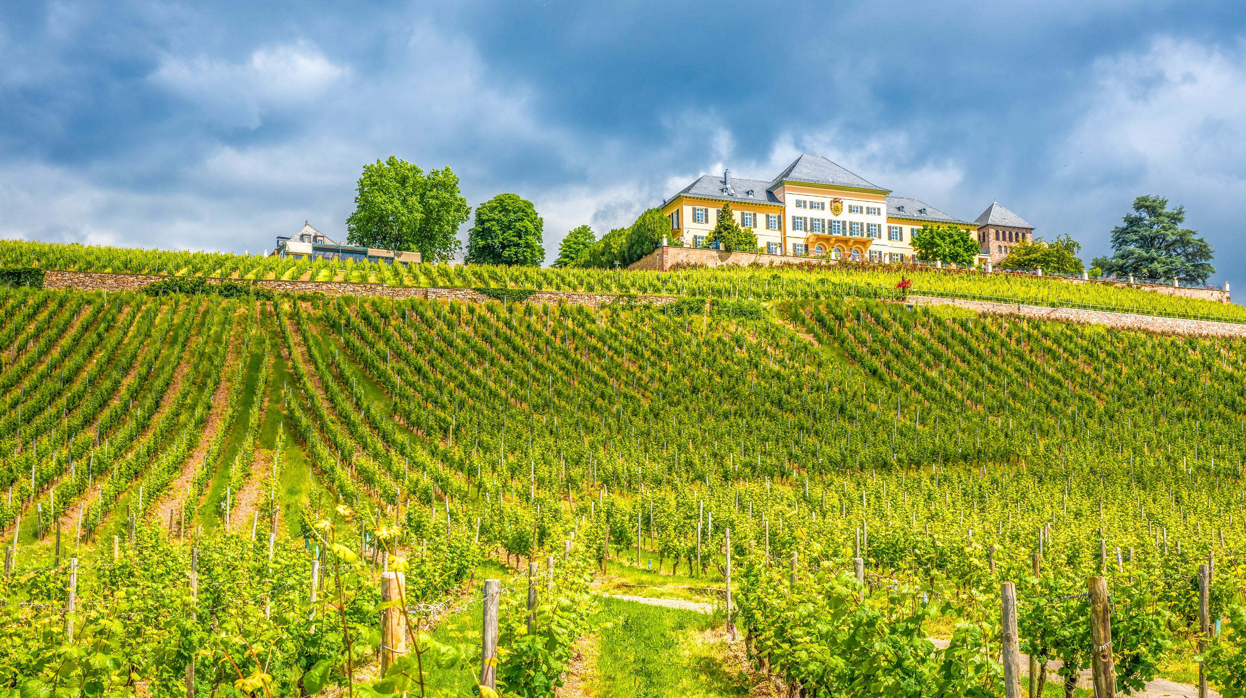 Schloss Johannisberg, Wiesbaden shutterstock_381720682