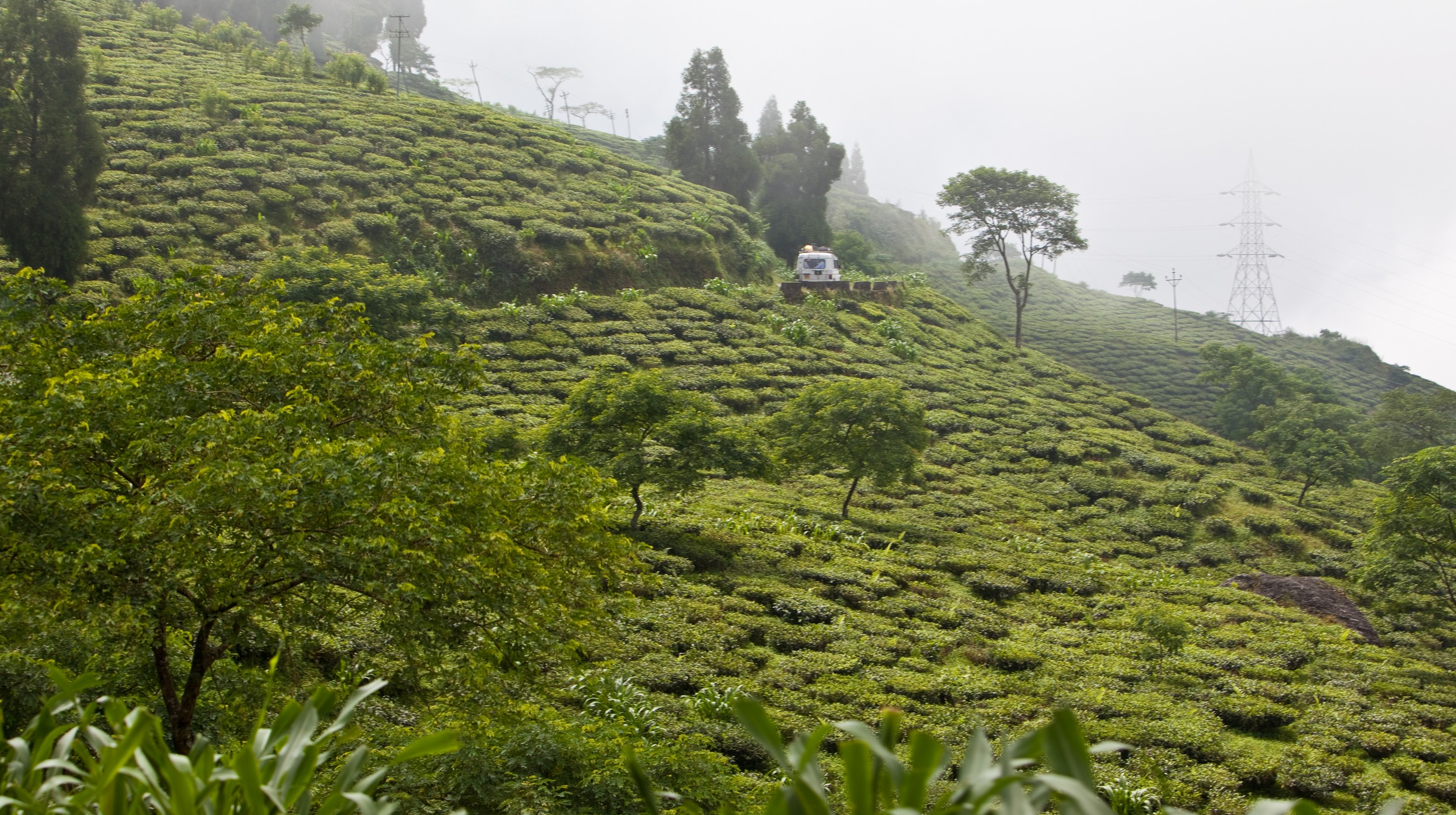 JB2009-09 India-Darjeeling Mail 977