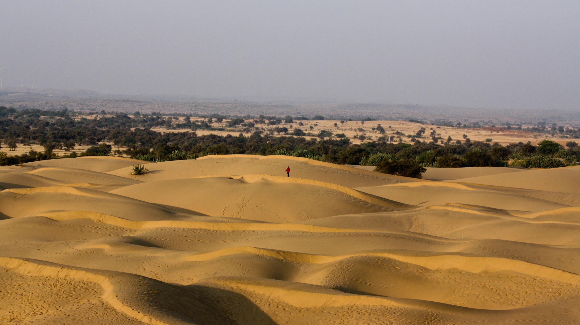 Thar_desert_Rajasthan_India