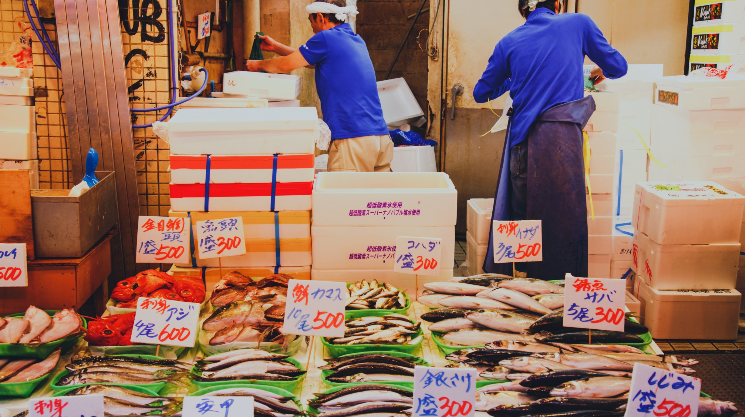 Japan - Tokyo - Tsukiji Vismarkt (1)