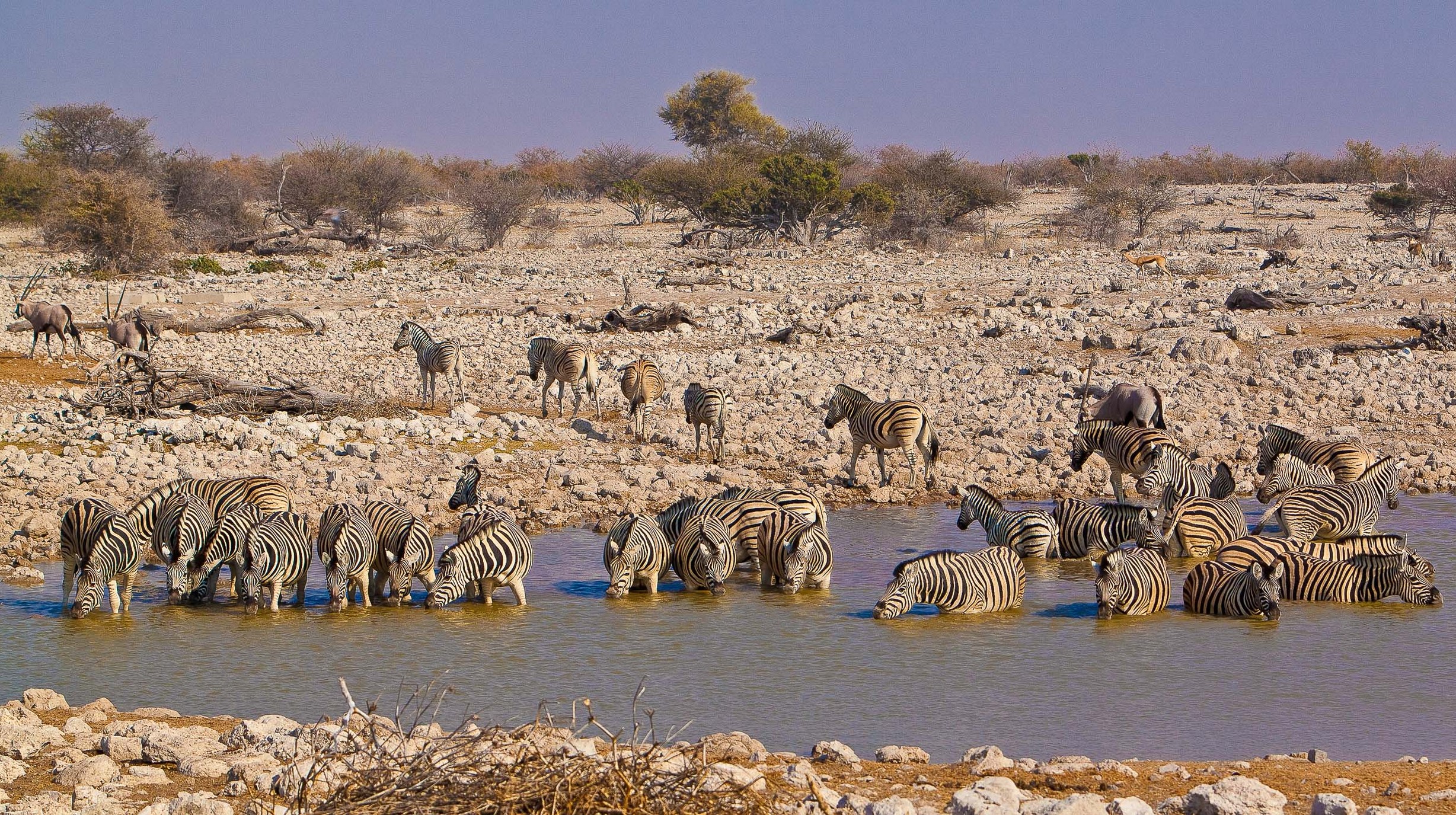 JB 2010-09 Namibië 660
