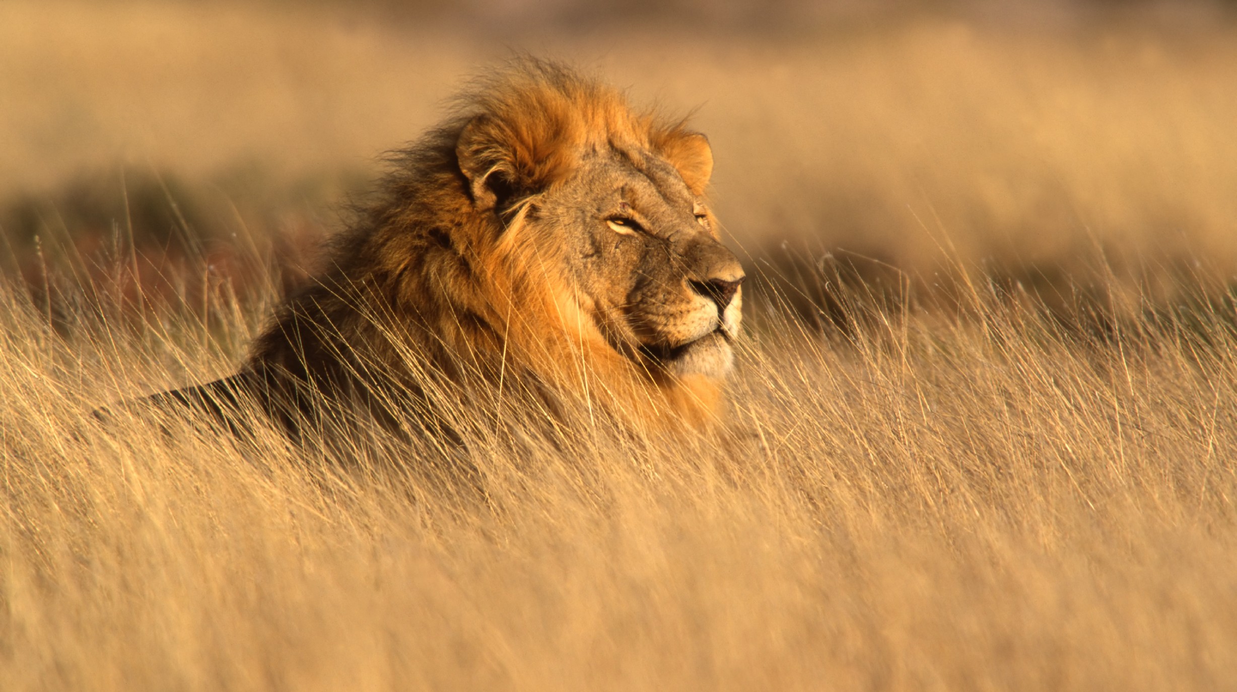 Namibië - Etosha National Park (3)