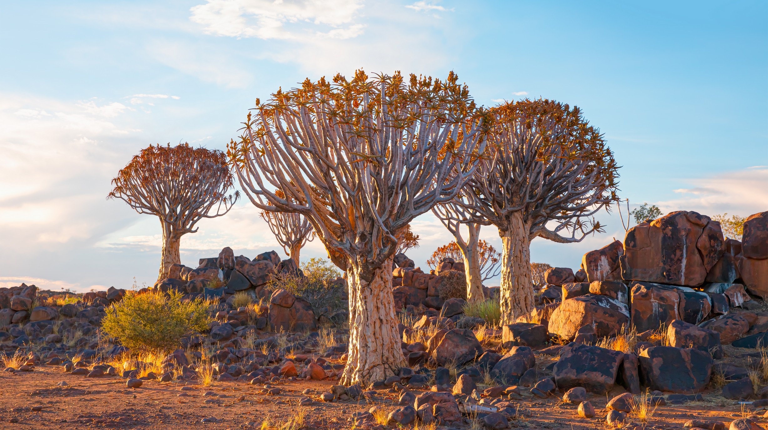 shutterstock_2086949524_Keetmanshoop, Afrika, Namibië