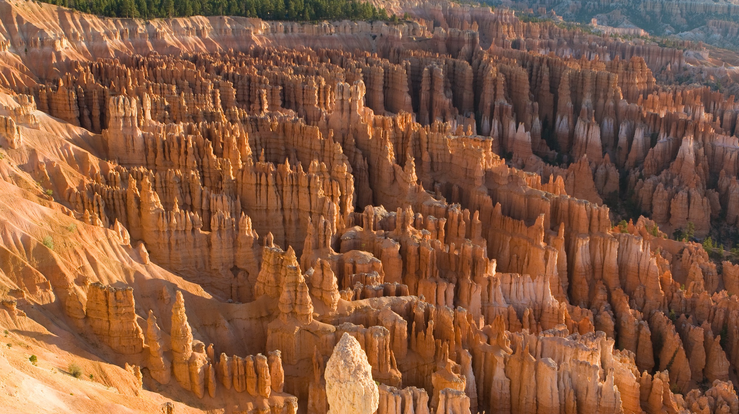 20080908 Amerika 282 + Bryce