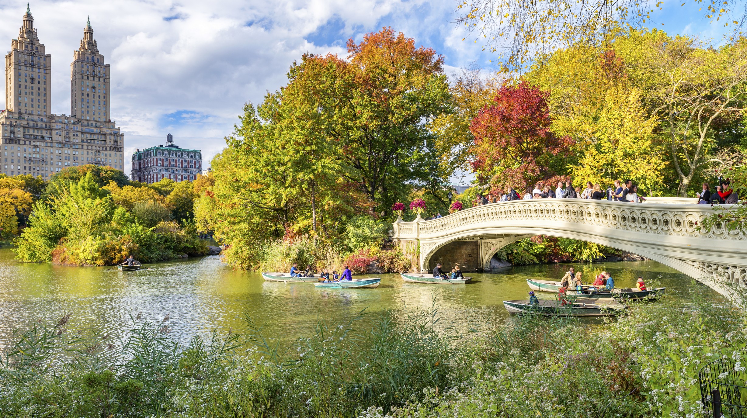 New York, Central Park shutterstock_519864985