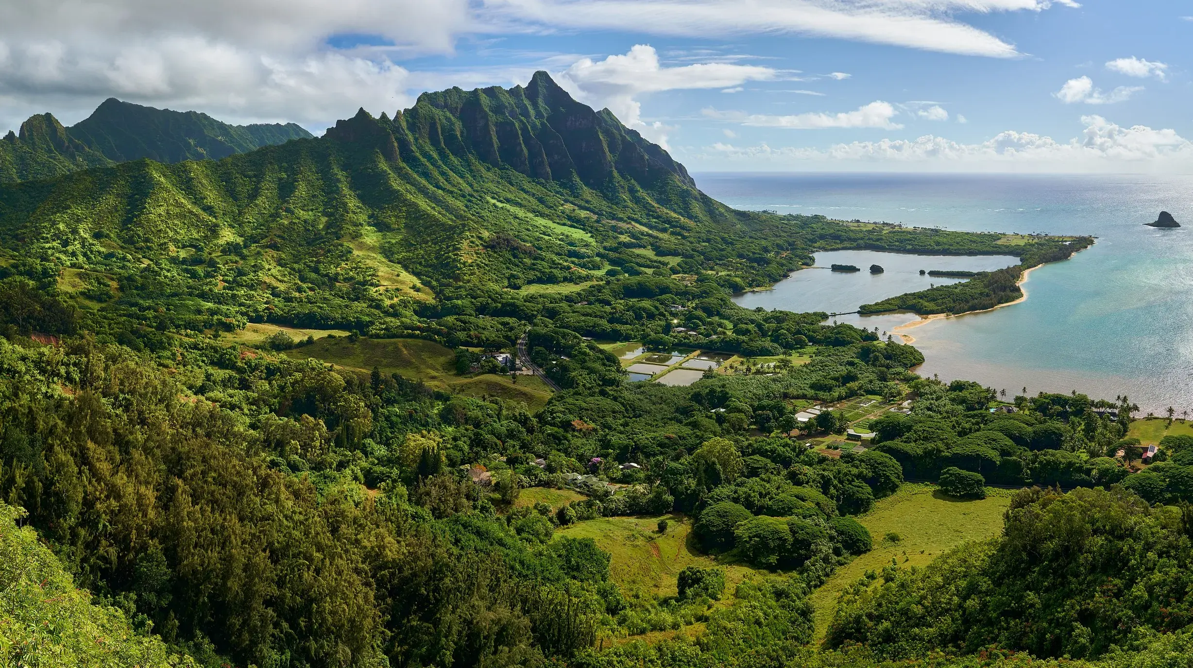 Cruise naar Hawaii en de Stille Zuidzee