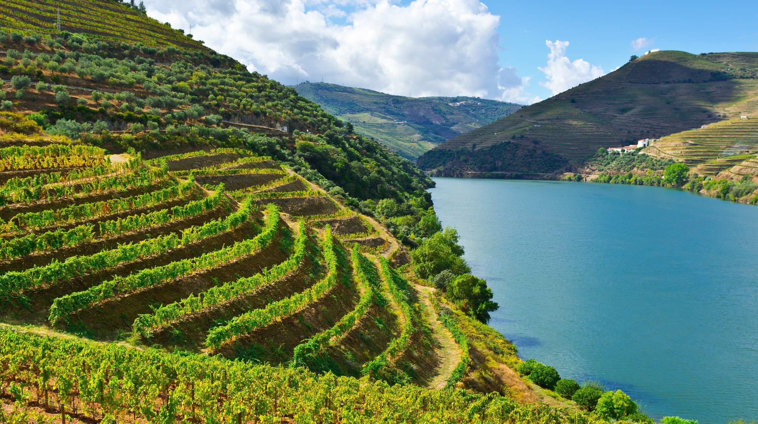 Douro shutterstock_161189531