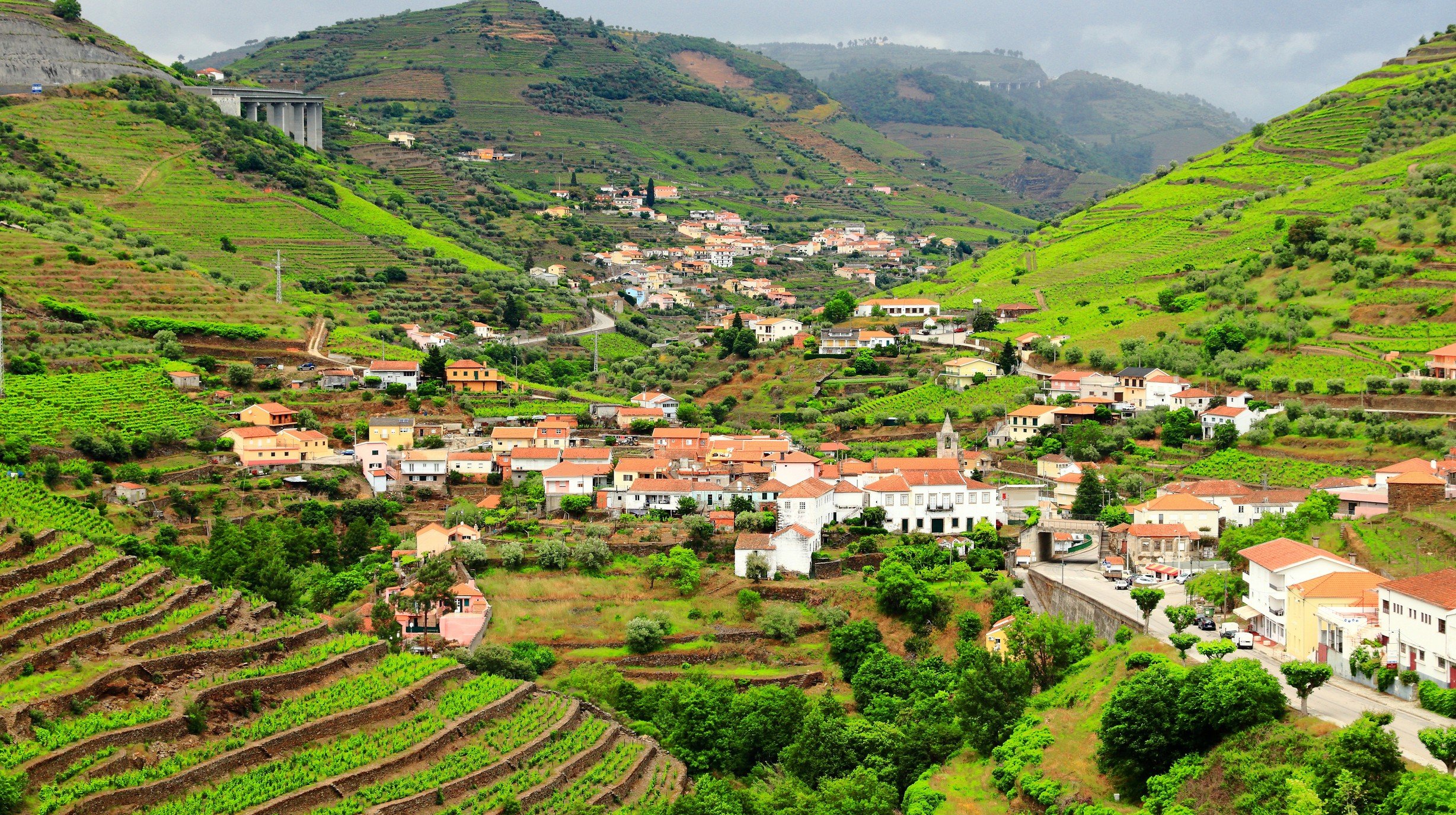Regua.