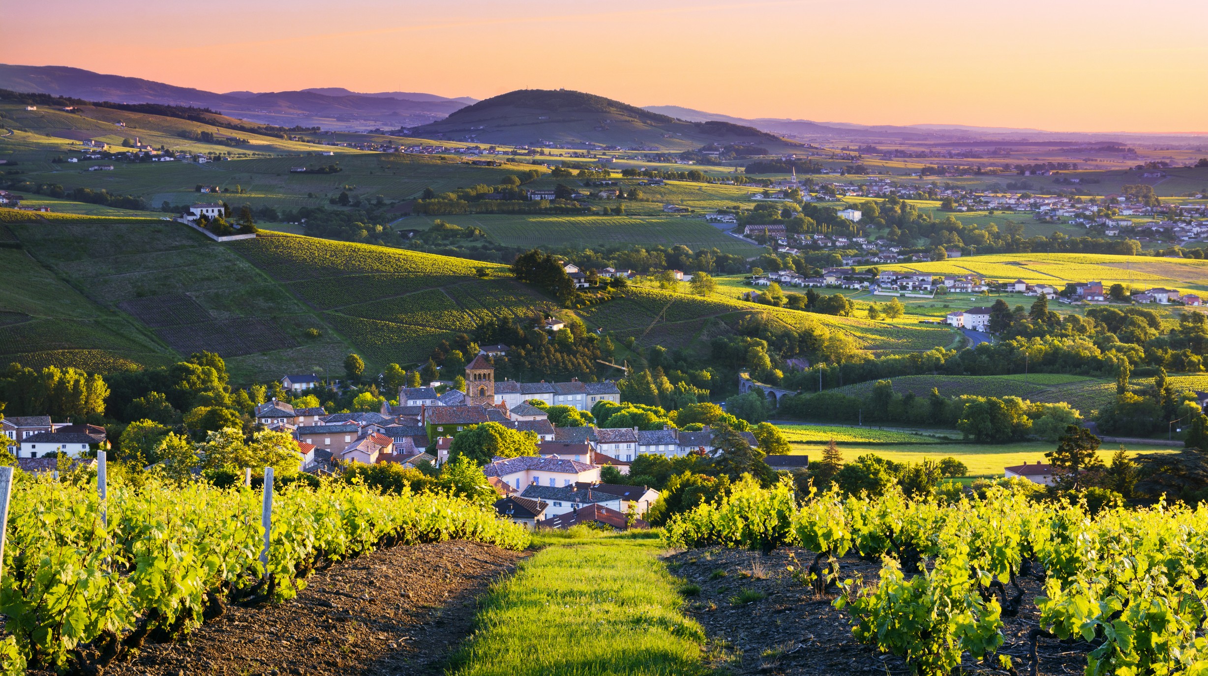 Beaujolais 03